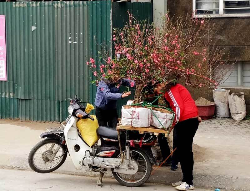 Bao tải đất bí ẩn, độc chiêu kiếm 1 triệu/ngày của bác xe ôm Nhật Tân-9