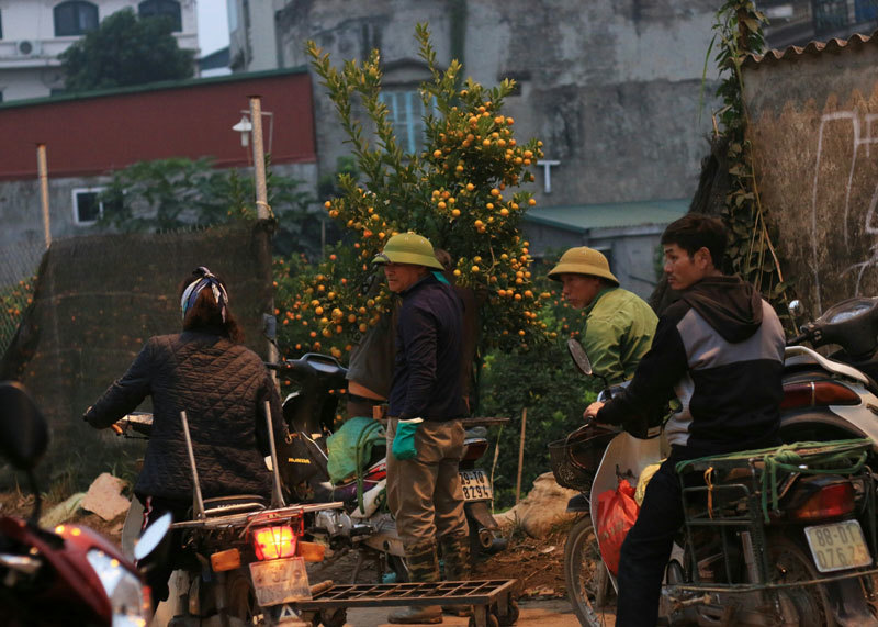 Bao tải đất bí ẩn, độc chiêu kiếm 1 triệu/ngày của bác xe ôm Nhật Tân-1