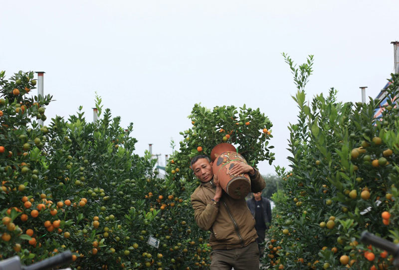 Bao tải đất bí ẩn, độc chiêu kiếm 1 triệu/ngày của bác xe ôm Nhật Tân-3