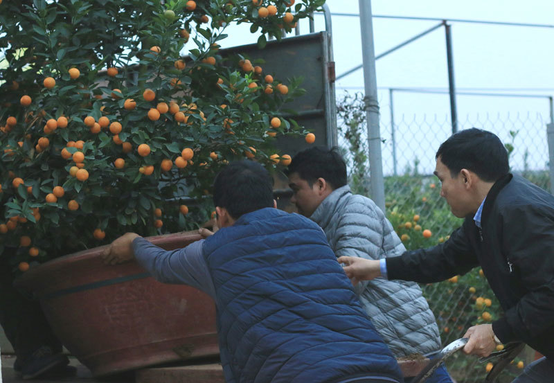 Bao tải đất bí ẩn, độc chiêu kiếm 1 triệu/ngày của bác xe ôm Nhật Tân-4