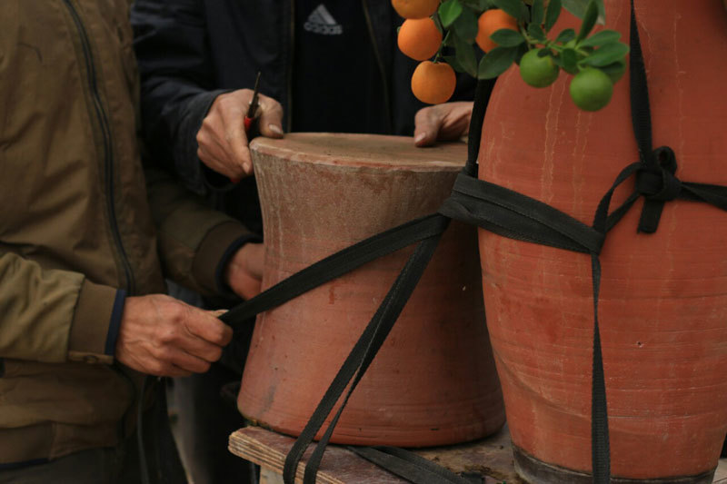 Bao tải đất bí ẩn, độc chiêu kiếm 1 triệu/ngày của bác xe ôm Nhật Tân-10