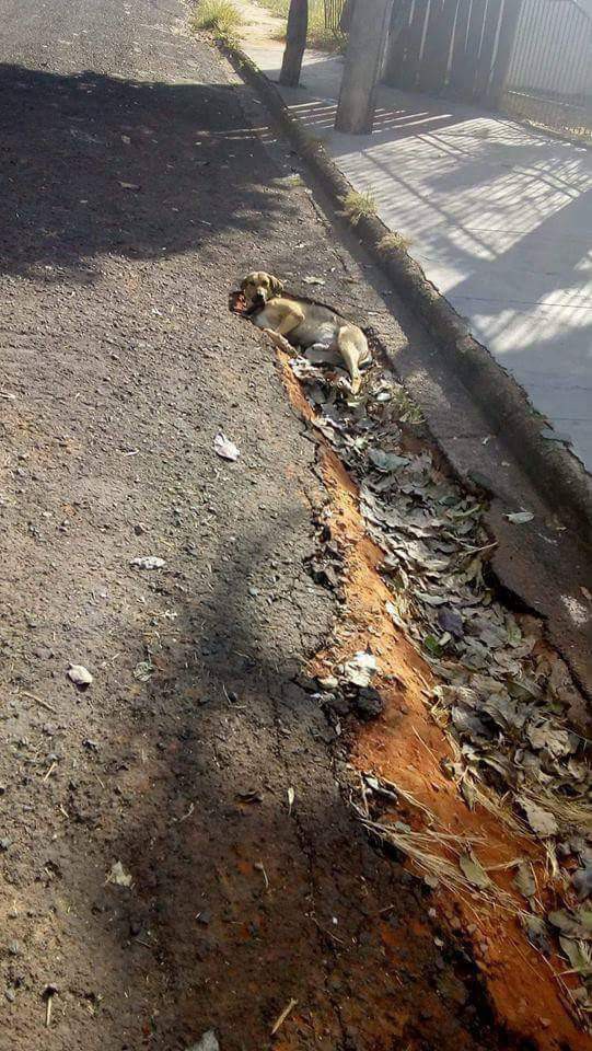 15 khoảnh khắc tưởng thế, hóa ra không phải thế, khiến bạn nghi ngờ bộ não của chính mình-1