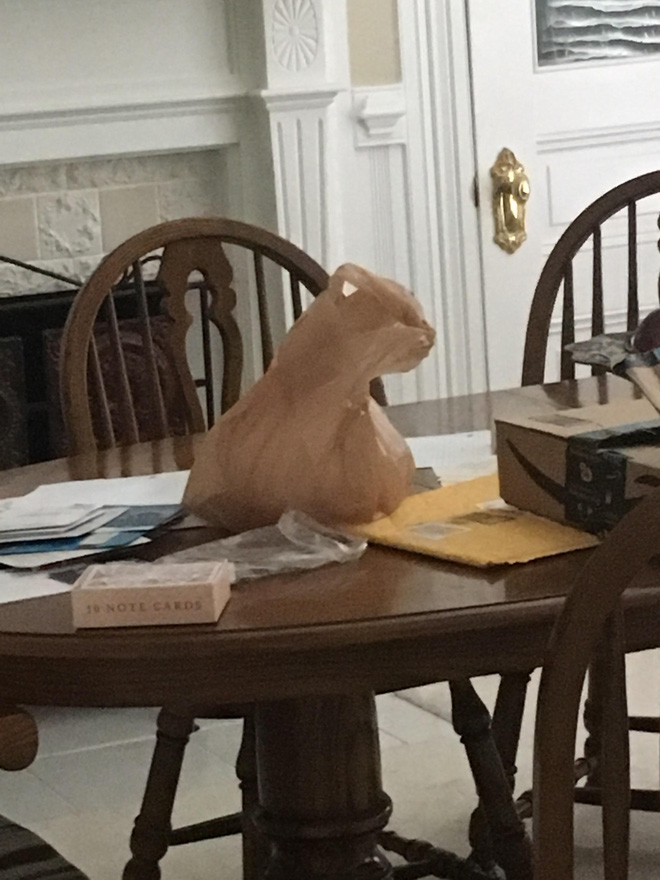 15 khoảnh khắc tưởng thế, hóa ra không phải thế, khiến bạn nghi ngờ bộ não của chính mình-14