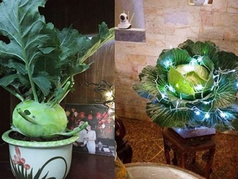 Dù su hào được mệnh danh là thần dược” của mùa Đông nhưng nếu bạn ăn nó theo cách này thì còn rước bệnh hại thân-5