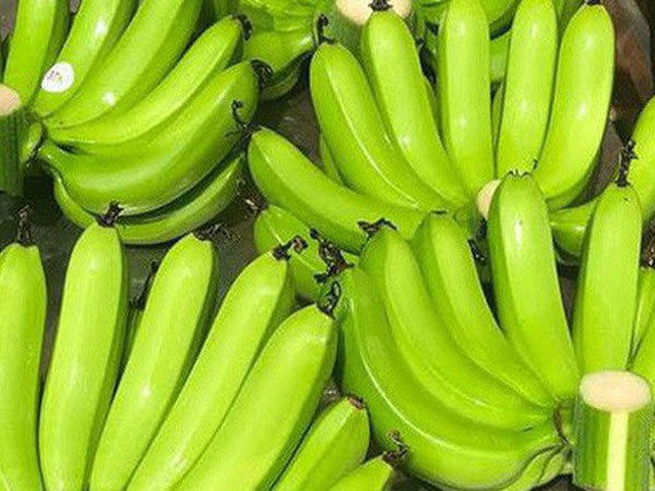 Giá chuối xanh bị đẩy lên trên 300.000 đồng/nải vẫn hút người mua-1