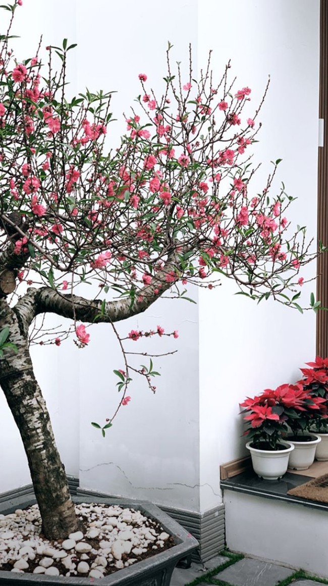 Hé lộ không gian sống cực xa hoa của Á hậu Tú Anh sau khi kết hôn với ông xã thiếu gia-7