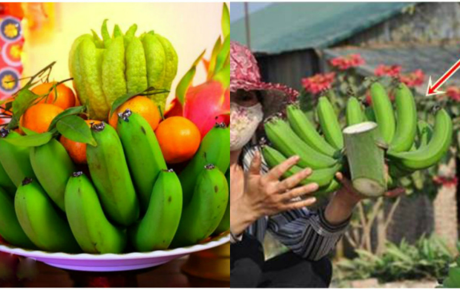 Chọn chuối thờ ngày Tết đẹp xấu thế nào cũng phải tránh điều tối kỵ này kẻo rước hạn nặng cả năm-1