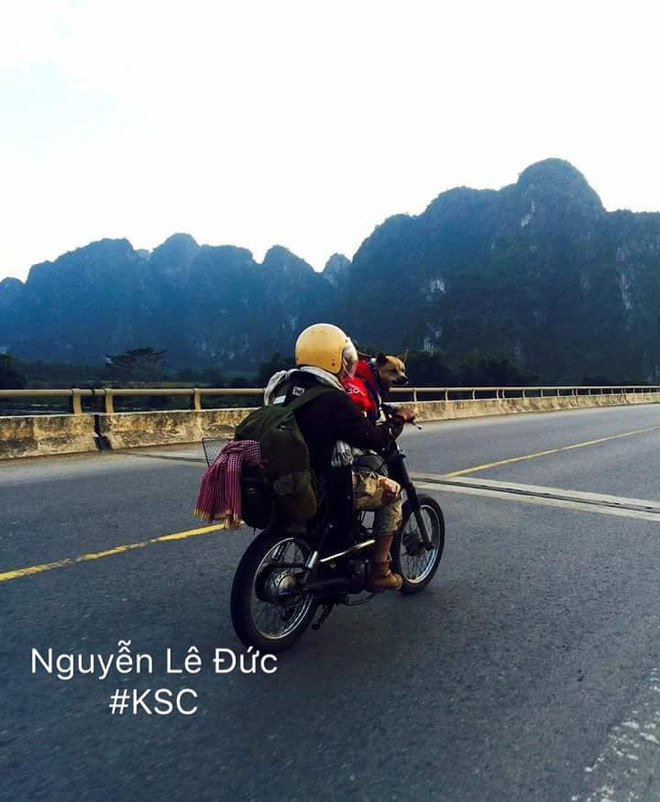 Theo chủ về quê ăn Tết, chú chó say xe tới mềm nhũn nhưng dân mạng lại bật cười vì 1 điều-12