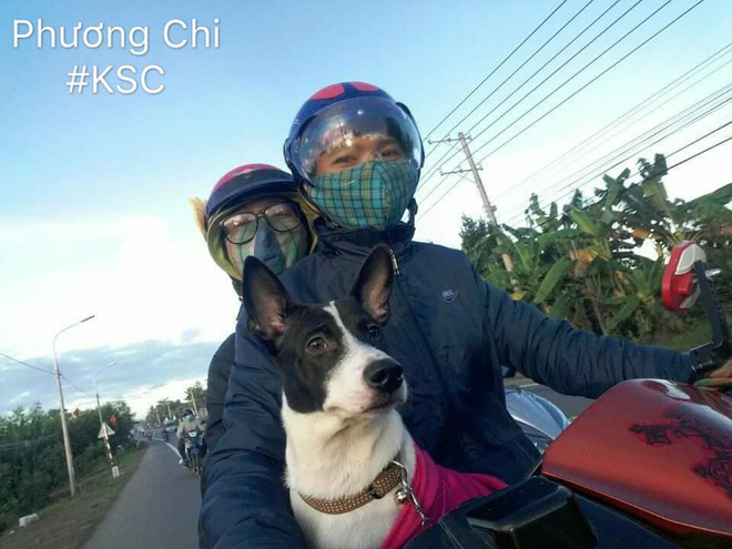 Theo chủ về quê ăn Tết, chú chó say xe tới mềm nhũn nhưng dân mạng lại bật cười vì 1 điều-16