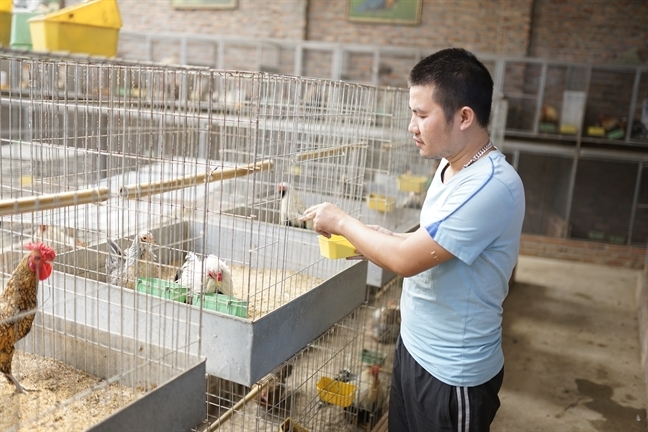 Xếp hàng cả tháng mua gà may mắn giá gần chục triệu làm quà biếu tết-3