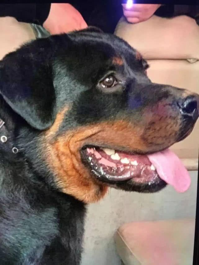 Đưa cháu gái đi phơi nắng, trong một lúc sơ hở bà quay lại nhìn thấy cháu biến dạng và nhận ra thủ phạm ở ngay bên cạnh-4