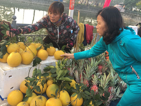 Độc, lạ: Bưởi khủng 13kg/quả, giá bạc triệu hút khách chơi Tết-13