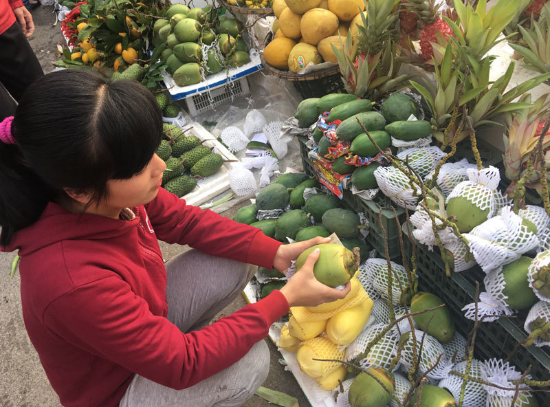 Chuối xanh 400 ngàn/nải, dưa hấu tăng giá gấp 4-2