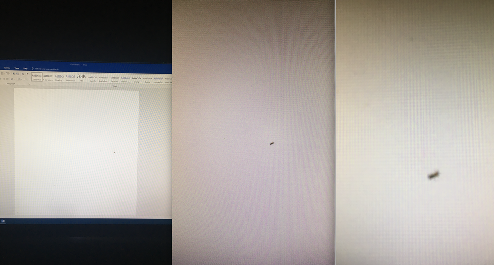 Nếu phát hiện kiến chui vào trong màn hình máy tính, đuổi chúng đi ngay trước khi ác mộng này xảy ra-2