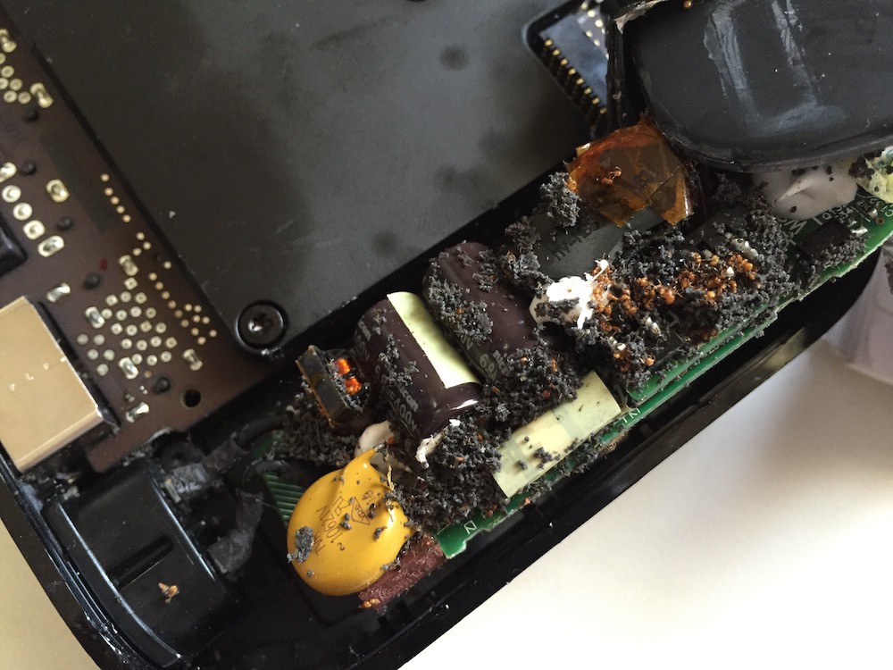 Nếu phát hiện kiến chui vào trong màn hình máy tính, đuổi chúng đi ngay trước khi ác mộng này xảy ra-4