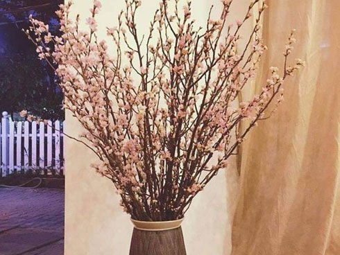 Nghề trồng đào quất: Người thu bạc tỷ, người trắng tay-3