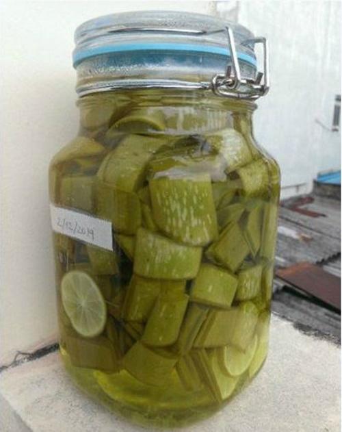 Dùng nha đam ngâm giấm theo cách này bạn chẳng cần tốn xu nào mua mỹ phẩm-1