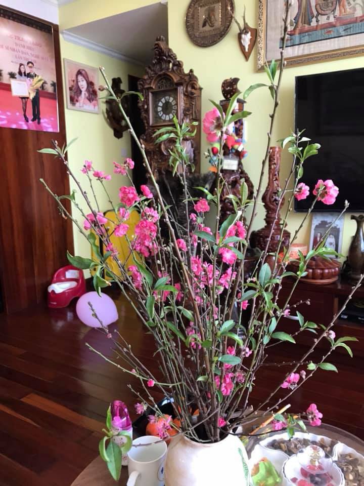 Sao Vbiz trang hoàng nhà cửa đón năm mới: Người xa hoa lộng lẫy, người giản đơn vẫn đủ đầy vị Tết!-17