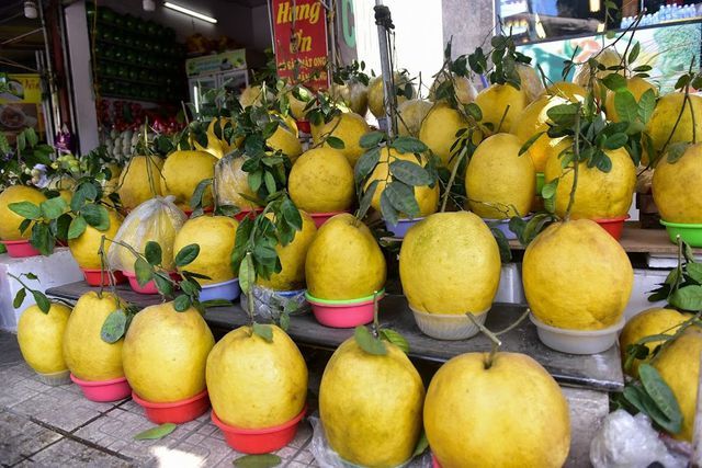 Độc, lạ: Bưởi khủng 13kg/quả, giá bạc triệu hút khách chơi Tết-2