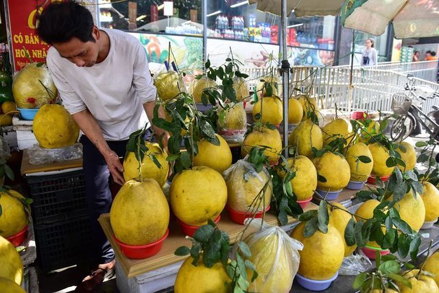 Độc, lạ: Bưởi khủng 13kg/quả, giá bạc triệu hút khách chơi Tết-3