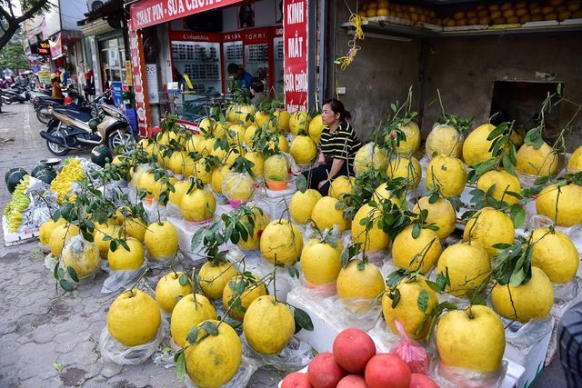 Độc, lạ: Bưởi khủng 13kg/quả, giá bạc triệu hút khách chơi Tết-1