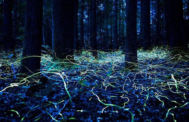 Khi bạn khoe ảnh thật mà mọi người cứ không tin vì quá ảo-2