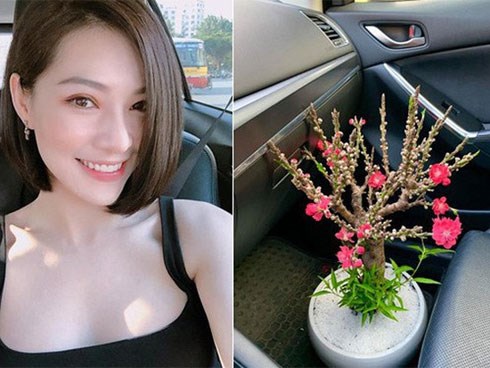 Lưu Đê Ly cũng không thoát khỏi cảnh bị lừa: Sắm cây đào thất thốn quý hiếm chơi Tết, nào ngờ là đào Trung Quốc