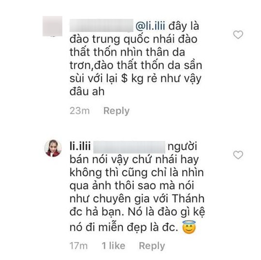 Lưu Đê Ly cũng không thoát khỏi cảnh bị lừa: Sắm cây đào thất thốn quý hiếm chơi Tết, nào ngờ là đào Trung Quốc-3