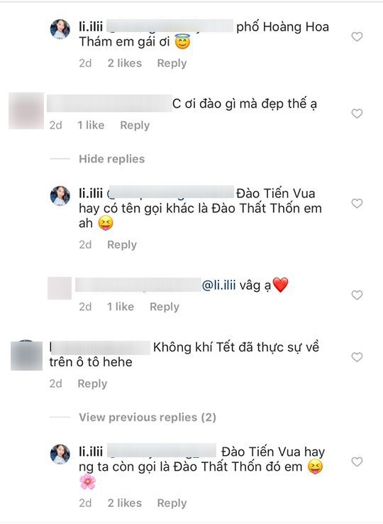 Lưu Đê Ly cũng không thoát khỏi cảnh bị lừa: Sắm cây đào thất thốn quý hiếm chơi Tết, nào ngờ là đào Trung Quốc-2