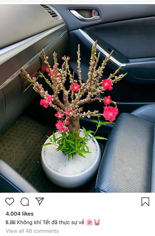 Lưu Đê Ly cũng không thoát khỏi cảnh bị lừa: Sắm cây đào thất thốn quý hiếm chơi Tết, nào ngờ là đào Trung Quốc-1