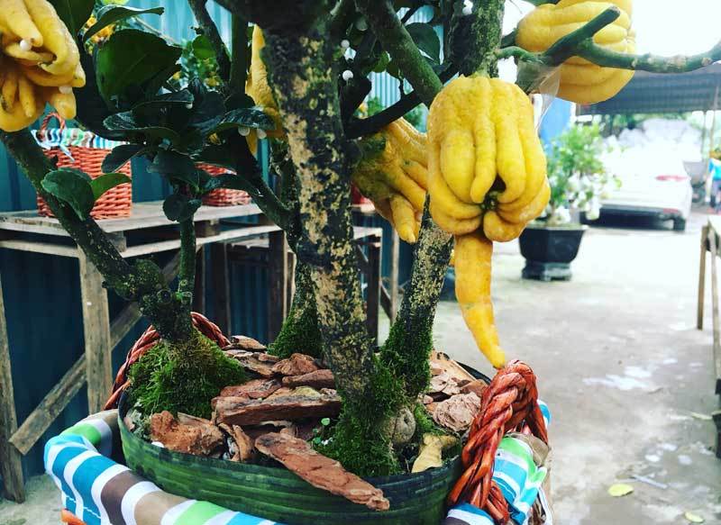 Bàn tay Phật độc nhất vô nhị: Đại gia không tiếc tiền rước về thắp hương-2