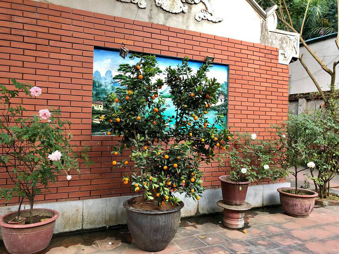 Cuộc sống giàu có của 3 diễn viên hài nổi tiếng miền Bắc-12