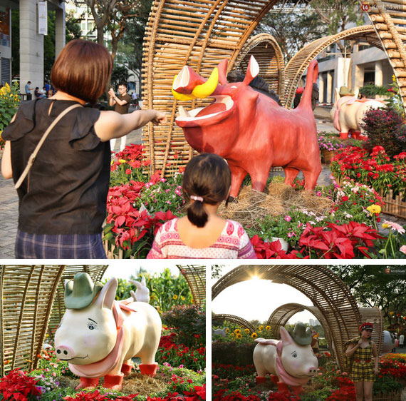 Ngắm đàn lợn với biểu cảm buồn cả thế giới ngộ nghĩnh và hài hước trên đường hoa xuân quận 7-3