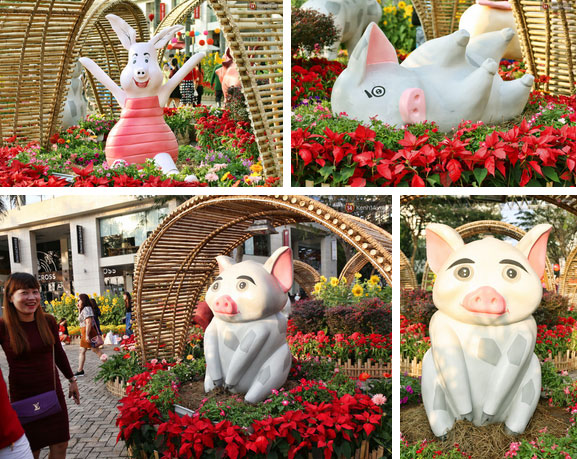 Ngắm đàn lợn với biểu cảm buồn cả thế giới ngộ nghĩnh và hài hước trên đường hoa xuân quận 7-4