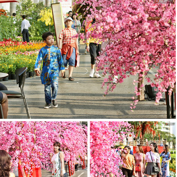 Ngắm đàn lợn với biểu cảm buồn cả thế giới ngộ nghĩnh và hài hước trên đường hoa xuân quận 7-10