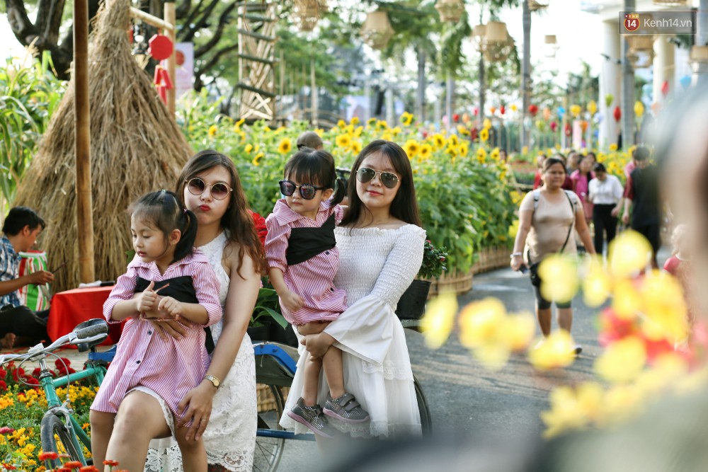 Ngắm đàn lợn với biểu cảm buồn cả thế giới ngộ nghĩnh và hài hước trên đường hoa xuân quận 7-9