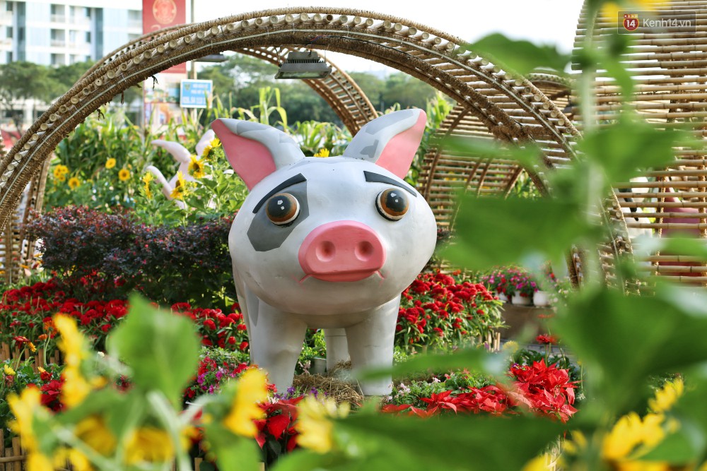 Ngắm đàn lợn với biểu cảm buồn cả thế giới ngộ nghĩnh và hài hước trên đường hoa xuân quận 7-5