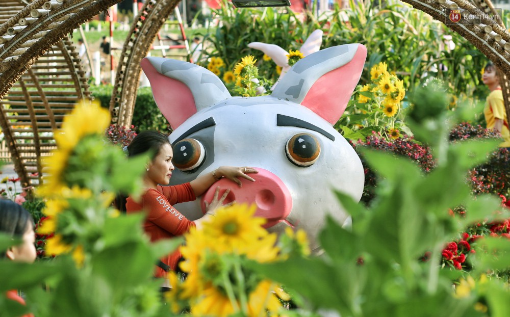 Ngắm đàn lợn với biểu cảm buồn cả thế giới ngộ nghĩnh và hài hước trên đường hoa xuân quận 7-6