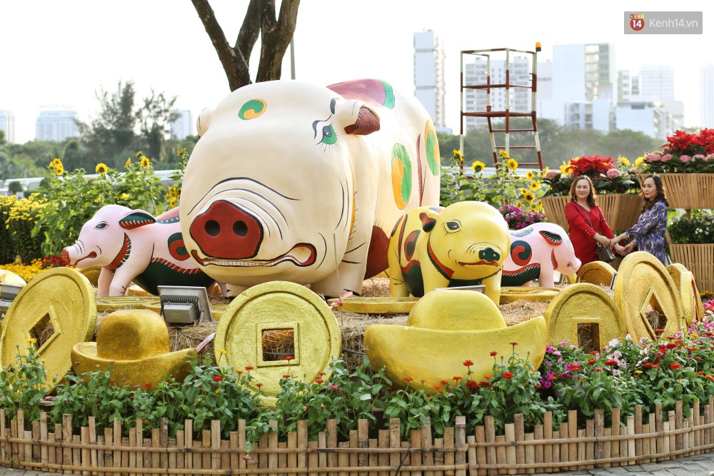 Ngắm đàn lợn với biểu cảm buồn cả thế giới ngộ nghĩnh và hài hước trên đường hoa xuân quận 7-7