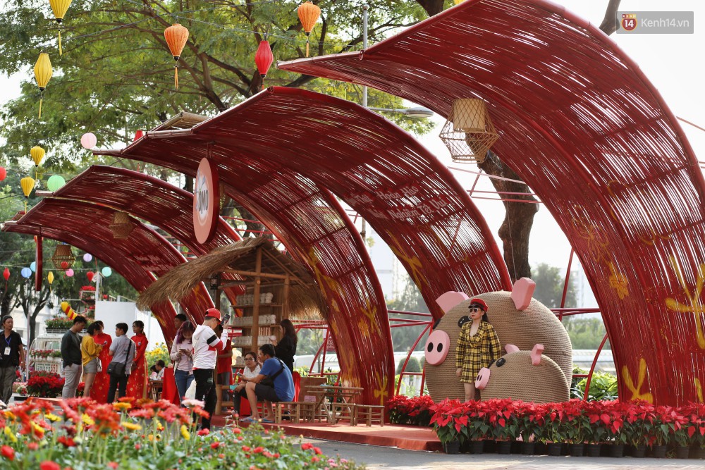 Ngắm đàn lợn với biểu cảm buồn cả thế giới ngộ nghĩnh và hài hước trên đường hoa xuân quận 7-16