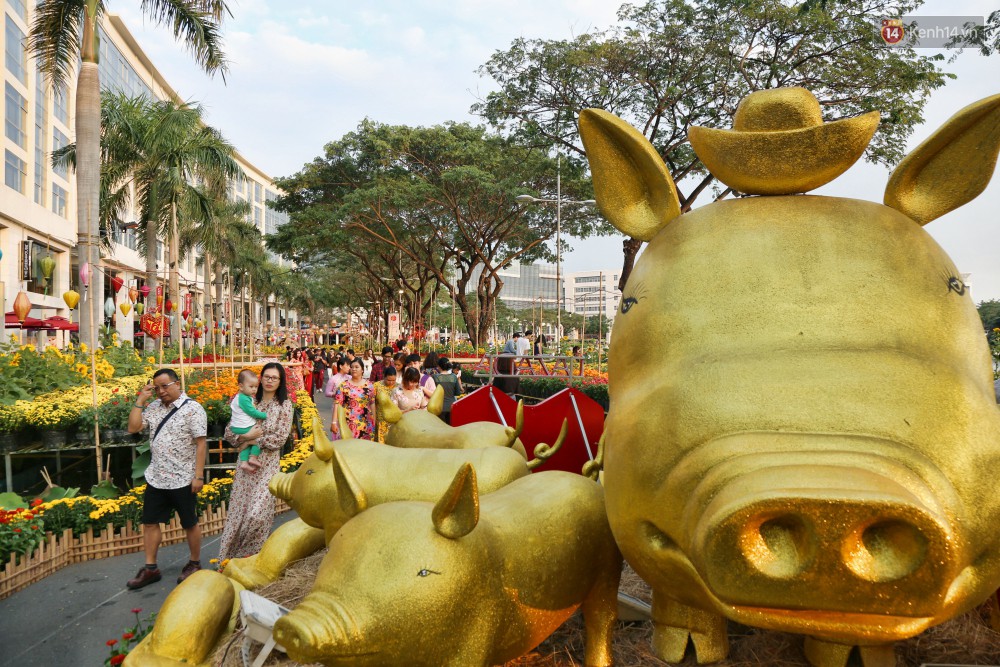 Ngắm đàn lợn với biểu cảm buồn cả thế giới ngộ nghĩnh và hài hước trên đường hoa xuân quận 7-1