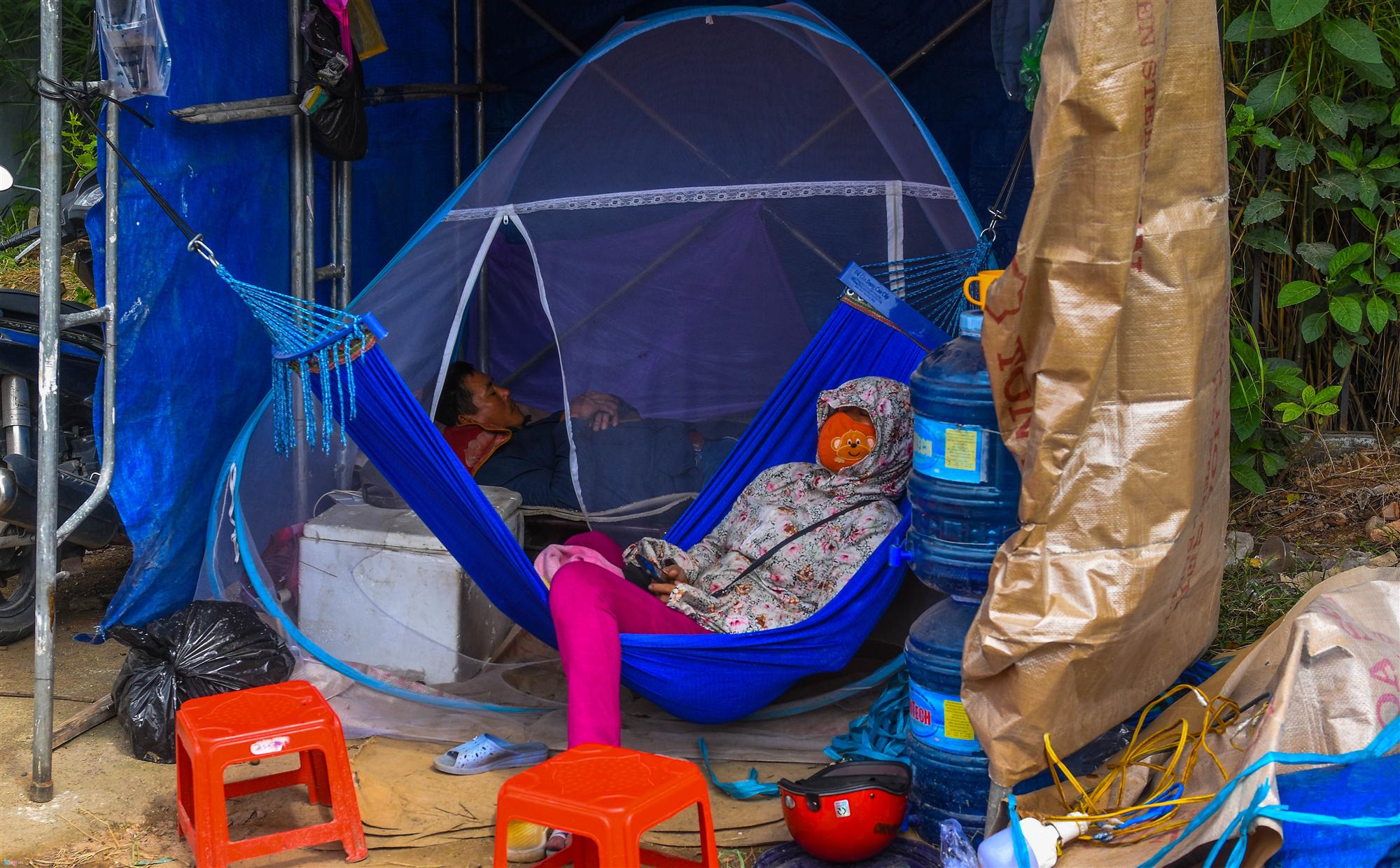 Vụ mai Tết ế chưa từng có, hàng nghìn gốc chỏng chơ giữa đồng-11