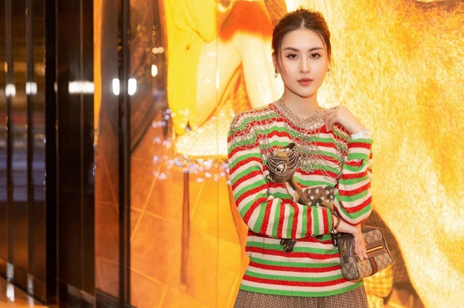 Soi những bộ phận được sao Việt bỏ núi tiền để nâng cấp trong năm qua-5