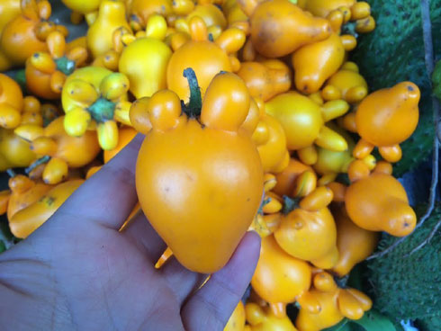 29 Tết thu 400 triệu: Chiều 30 Tết, 9X mới nghỉ để đếm tiền-8