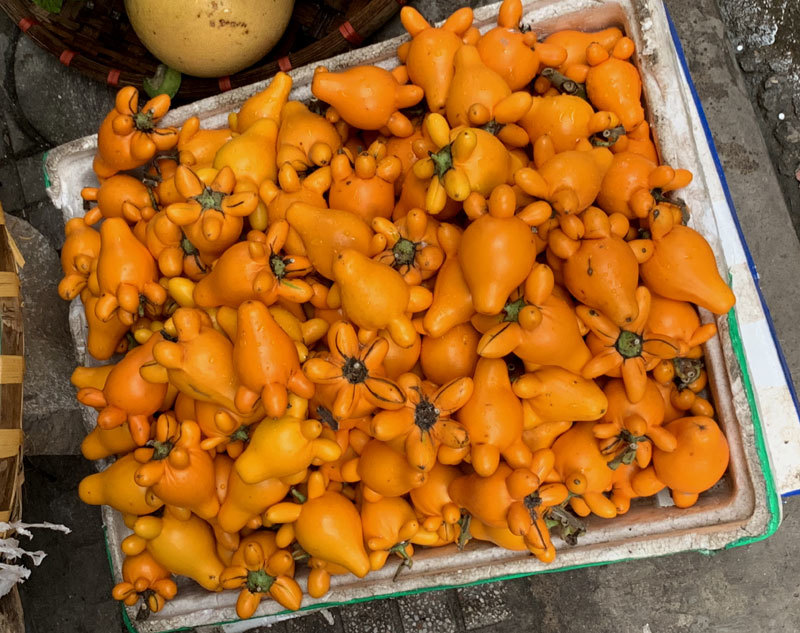 Quả độc chết người cúng ông bà ngày Tết: Liều mạng cầu giàu sang-1