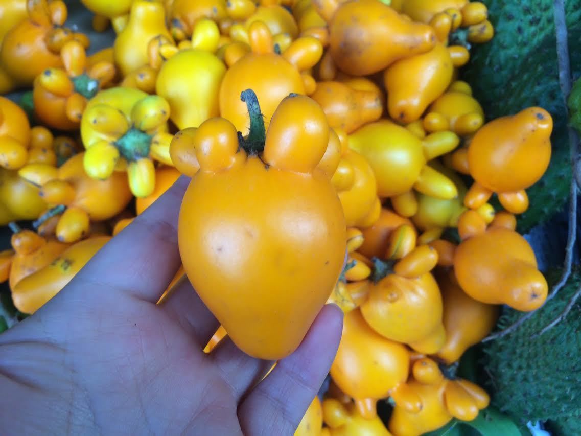 Quả độc chết người cúng ông bà ngày Tết: Liều mạng cầu giàu sang-2