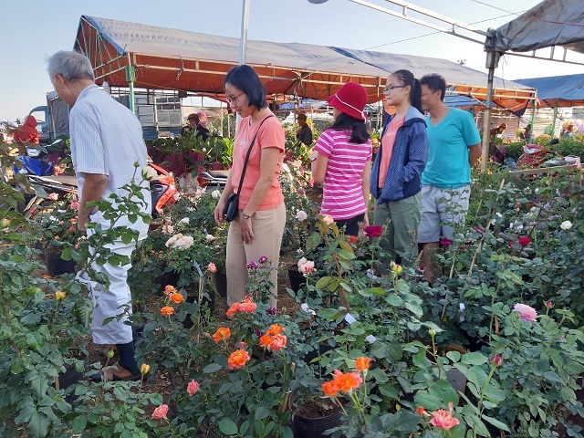 29 Tết thu 400 triệu: Chiều 30 Tết, 9X mới nghỉ để đếm tiền-1