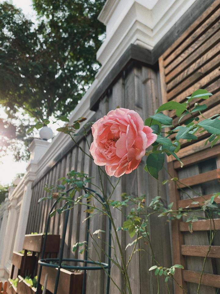 Có gì bên trong biệt thự triệu đô nhà Tăng Thanh Hà những ngày giáp Tết Nguyên đán?-4