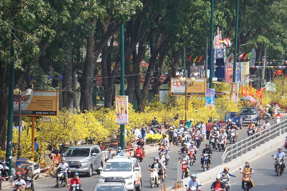 Tiểu thương thẳng tay đập bỏ, chặt gốc hoa đem về, không bán rẻ chiều 30 Tết-10