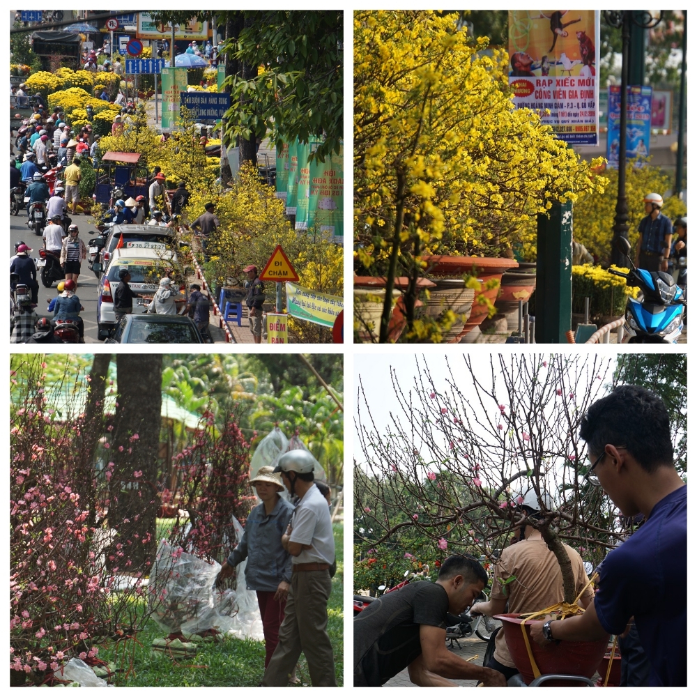 Tiểu thương thẳng tay đập bỏ, chặt gốc hoa đem về, không bán rẻ chiều 30 Tết-12